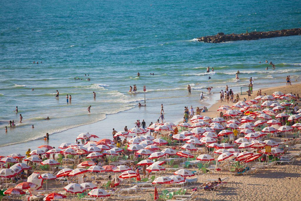 Tel Aviv beach full of sun umbrellas